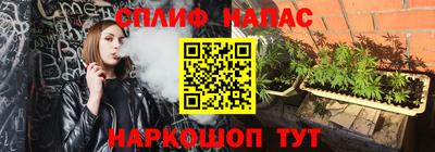 индика Апшеронск
