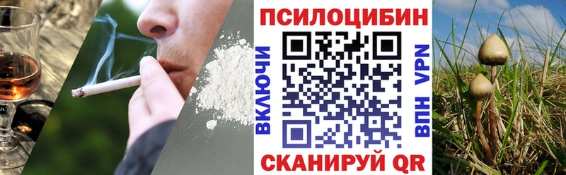 купить наркоту Анапа Псилоцибиновые грибы мухоморы