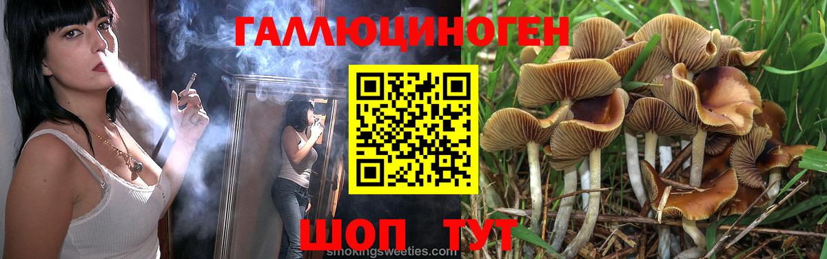 Галлюциногенные грибы Cubensis  Вход с VPN  Анапа  Псилоцибиновые грибы MAGIC MUSHROOMS 