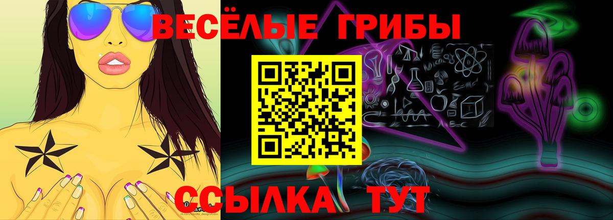 Псилоцибиновые грибы мицелий Анапа