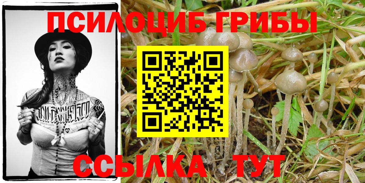 Псилоцибиновые грибы GOLDEN TEACHER Анапа